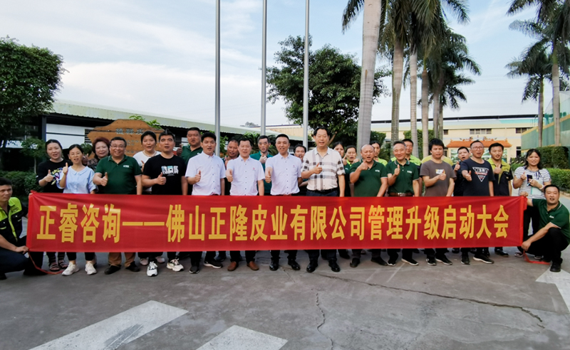 助力皮革行業(yè)再樹標桿——正隆皮業(yè)全面管理升級項目啟動！