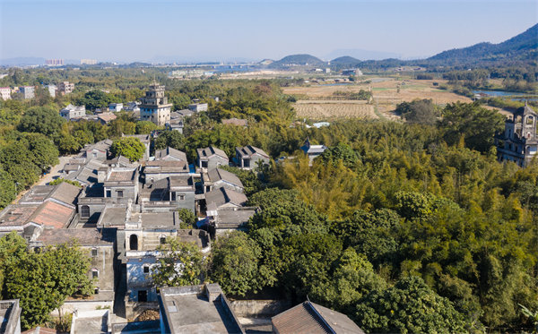 江門管理咨詢公司如何定制高效解決方案？