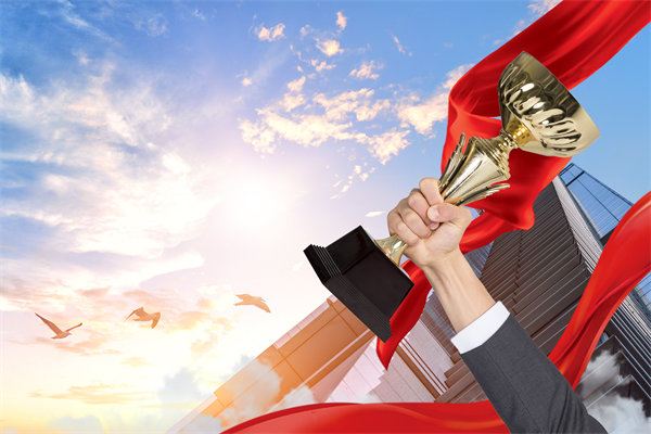 如何確保戰(zhàn)略規(guī)劃與企業(yè)文化及價值觀相契合？