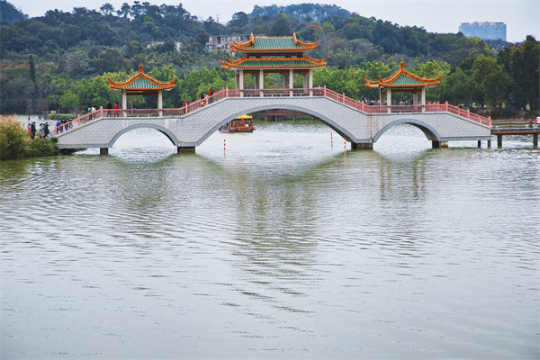 肇慶戰(zhàn)略咨詢公司如何為企業(yè)定制長遠(yuǎn)發(fā)展規(guī)劃？