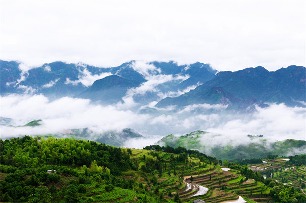 溫州供應(yīng)鏈咨詢公司如何優(yōu)化企業(yè)供應(yīng)鏈流程？