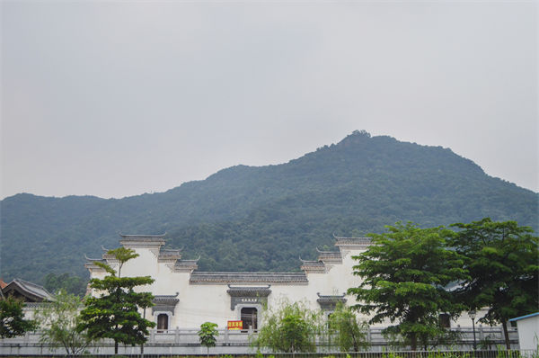 佛山組織規(guī)劃咨詢公司如何優(yōu)化企業(yè)人才梯隊建設(shè)？