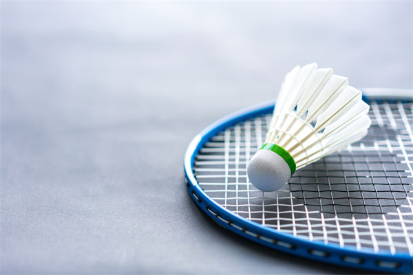 從營銷方面分析羽毛球價格2年上漲100%比黃金還猛 從營銷方面分析羽毛球價格2年上漲100%比黃金還猛