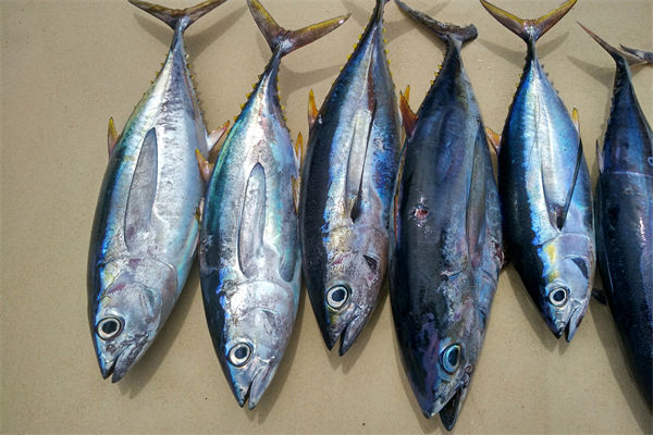 商務(wù)部：將幫助外貿(mào)企業(yè)擴寬內(nèi)銷渠道，政策解讀！