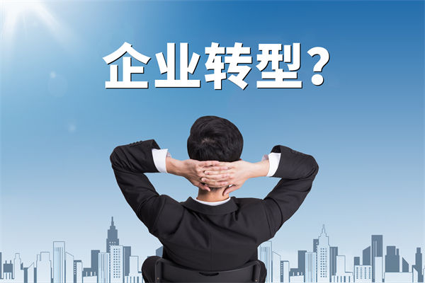 企業(yè)轉(zhuǎn)型無方向，數(shù)智化咨詢公司能否指引明路？