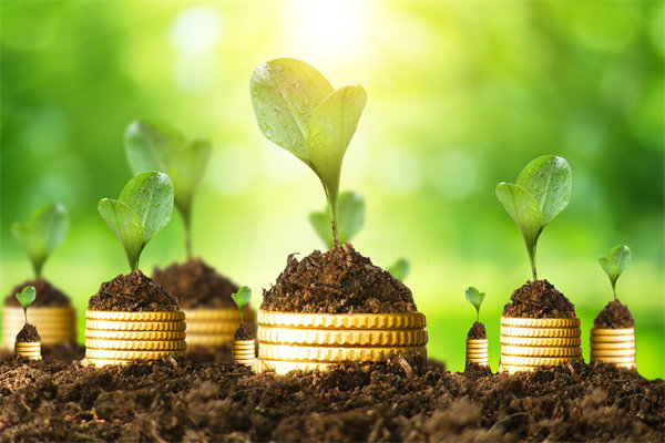 預(yù)算管理咨詢公司如何幫助企業(yè)破解資金錯配問題？