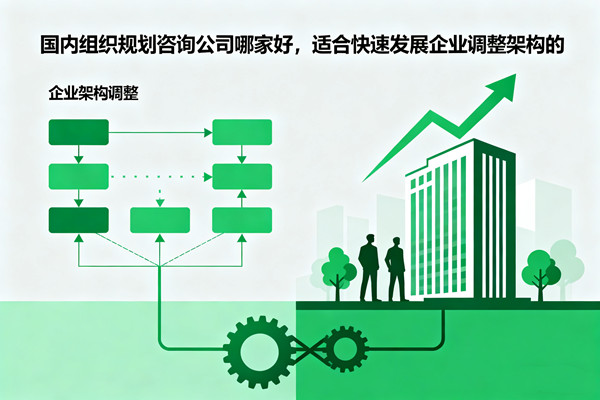 國內(nèi)組織規(guī)劃咨詢公司哪家好，適合快速發(fā)展企業(yè)調(diào)整架構(gòu)的
