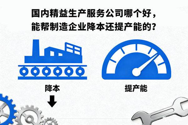 國內(nèi)精益生產(chǎn)服務(wù)公司哪個好，能幫制造企業(yè)降本還提產(chǎn)能的？