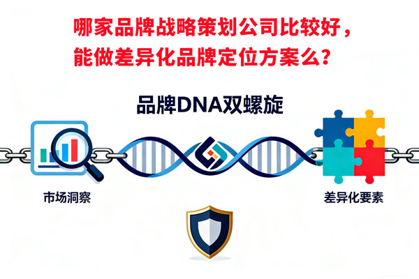 哪家品牌戰(zhàn)略策劃公司比較好，能做差異化品牌定位方案么？