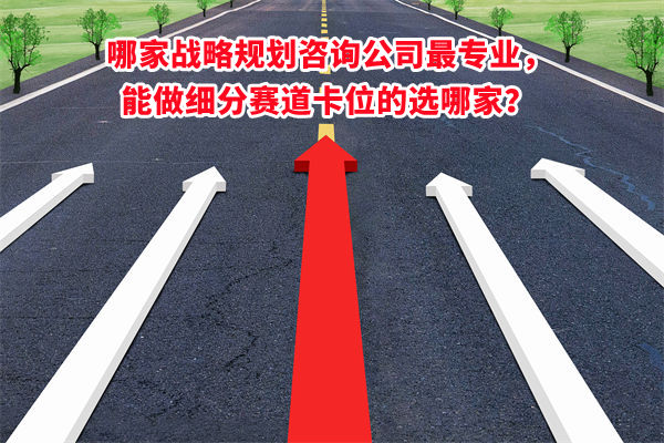 哪家戰(zhàn)略規(guī)劃咨詢公司最專業(yè)，能做細(xì)分賽道卡位的選哪家？